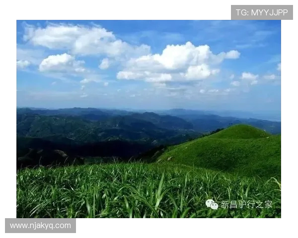 李强独家分享攀岩技巧与心得体会助你征服高峰